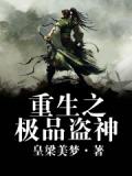 重生之神级盗贼